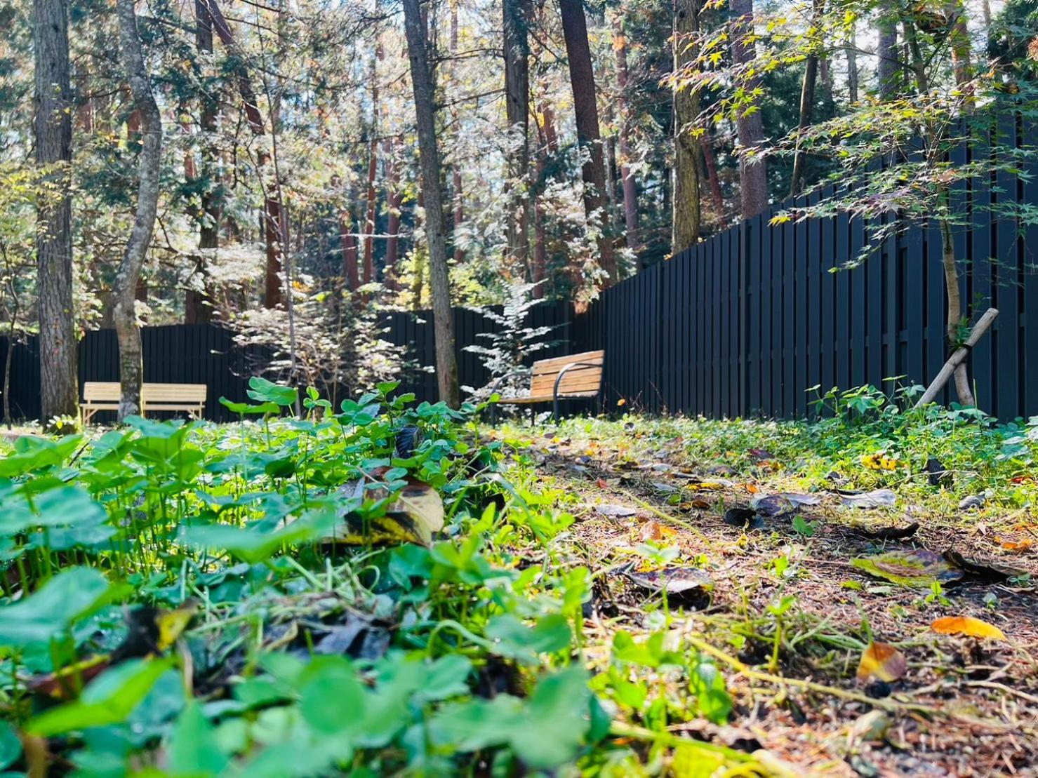 Fuji Fumoto Forest Hotspring ふもとの森温泉 Fujikawaguchiko Exterior foto